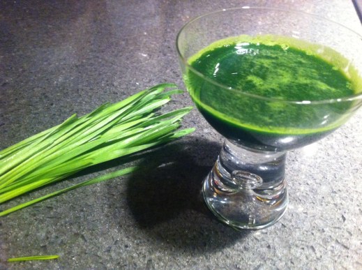 wheat grass juice